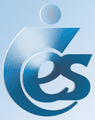 IES