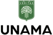 Logo UNAMA