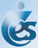 Logo do IES