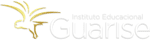 Logo do IEG