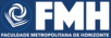 Logo da FMH